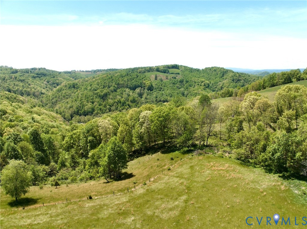 453 Long Hollow Road Cleveland, VA 24225 - Photo 5 of 5