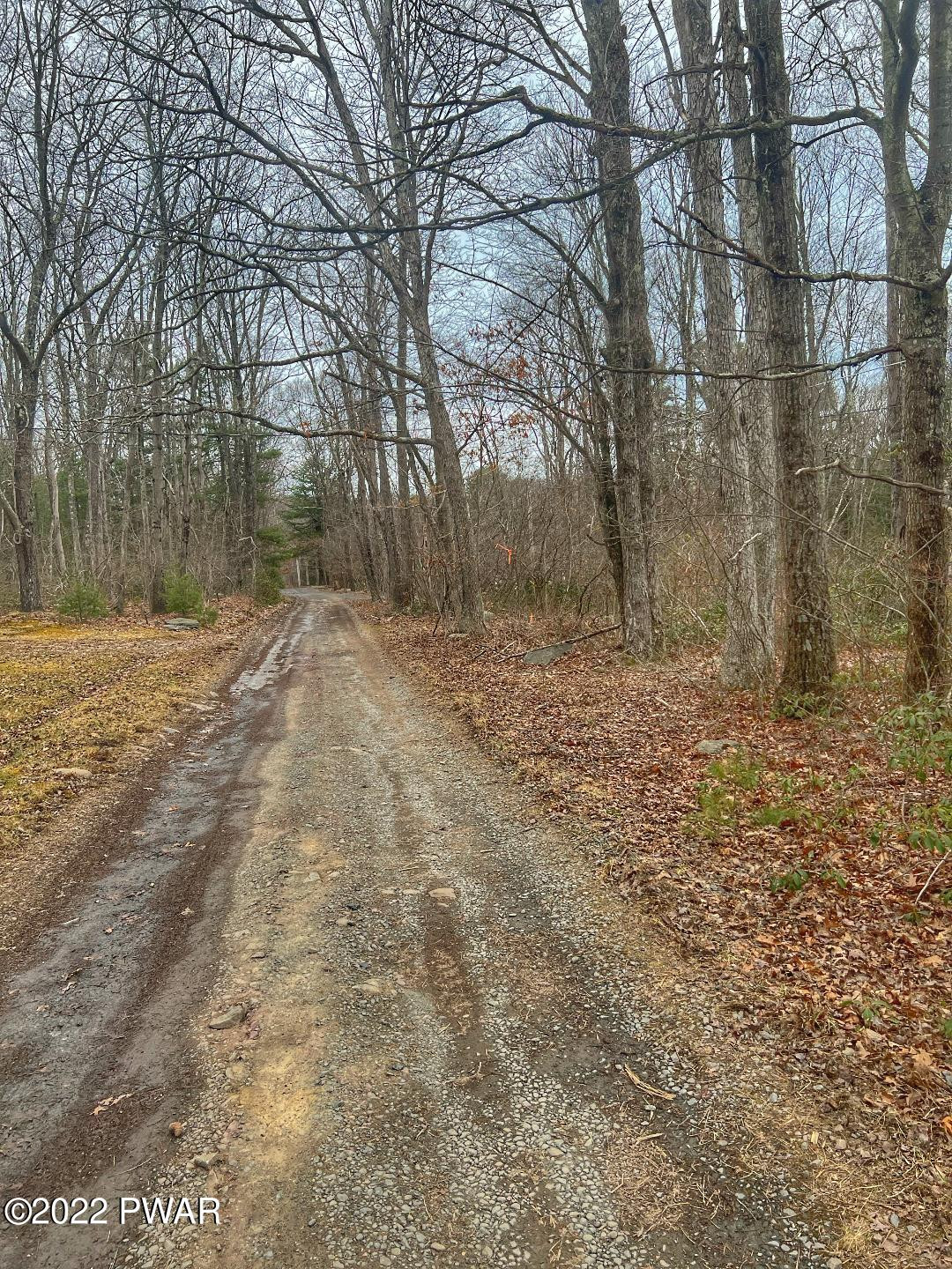 Lot 116 Red Shale Road Hawley, PA 18428 - Photo 3 of 4