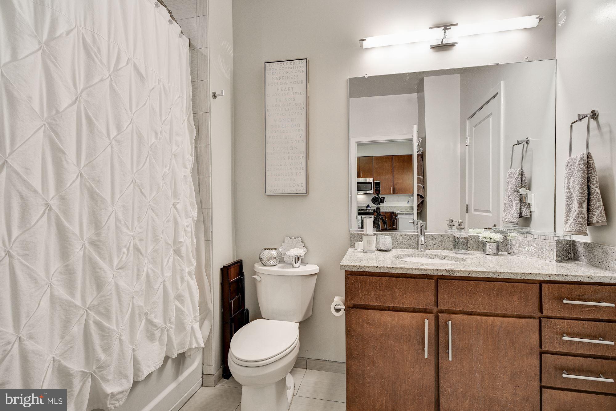 8005 13th Street, Unit 403 Silver Spring, MD 20910 - Photo 19 of 30 Bathroom