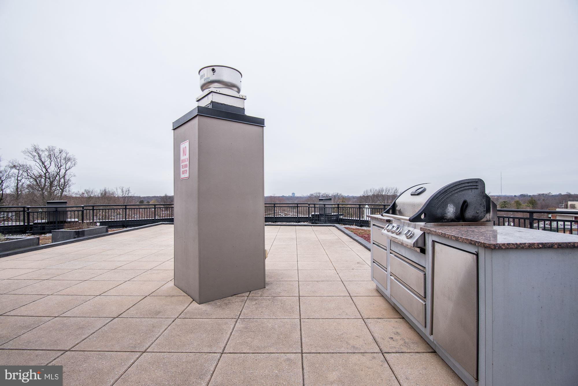 8005 13th Street, Unit 403 Silver Spring, MD 20910 - Photo 26 of 30 Rooftop