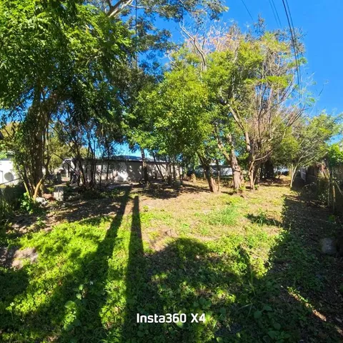 a view of a tree in the middle of a yard