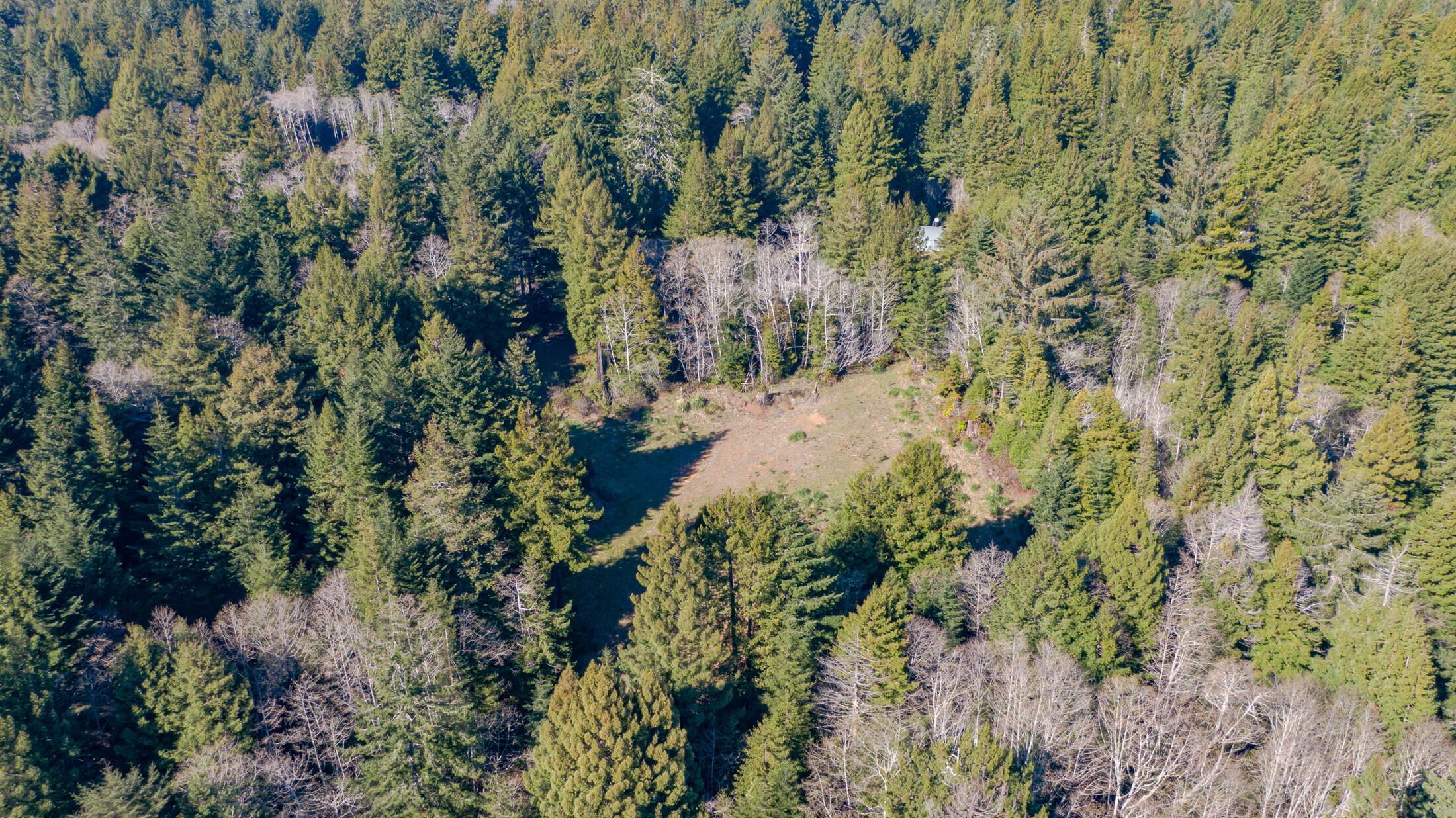 1180 Fox Farm Road Trinidad, CA 95570 - Photo 34 of 36