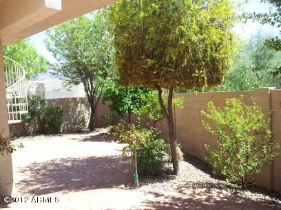 6335 South Eagle Pass Road Gold Canyon, AZ 85118 - Photo 21 of 29 Eagle Back yard