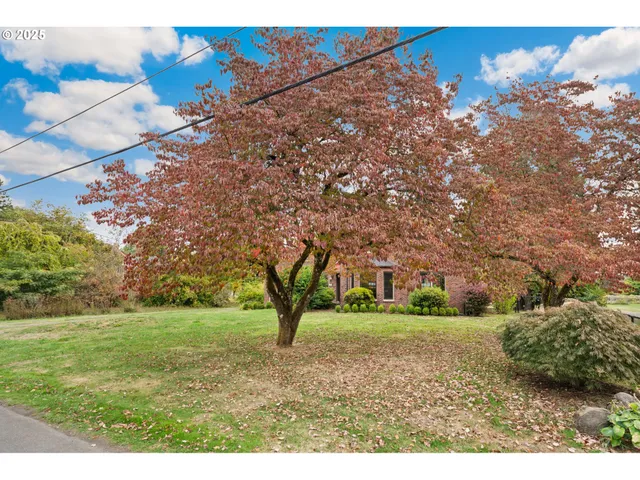 a view of yard with tree