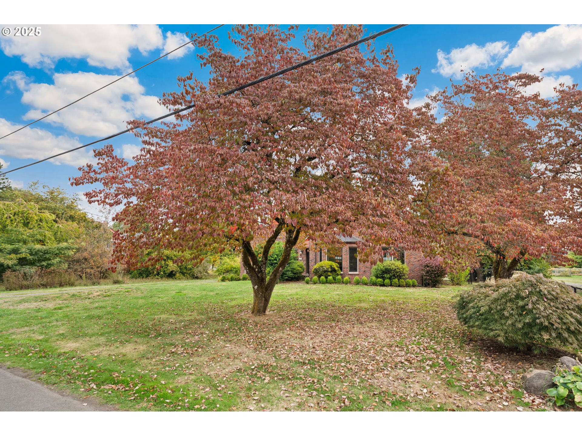 1230 Southeast Barnes Road Gresham, OR 97080 - Photo 6 of 31 a view of yard with tree