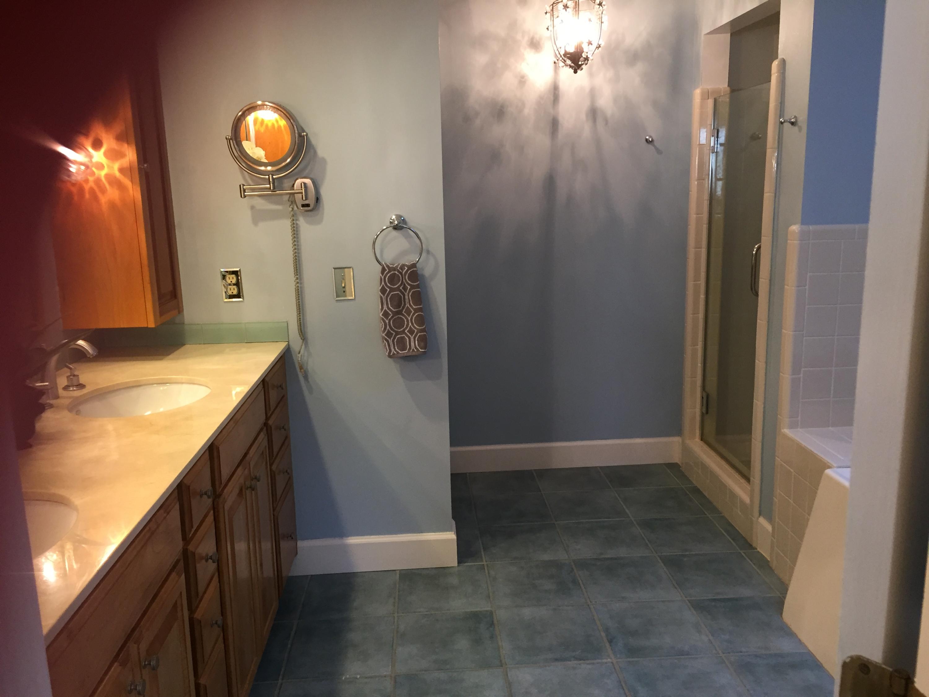 874 Farm Quarter Road Mount Pleasant, SC 29464 - Photo 12 of 18 Master Bath with Jacuzzi
