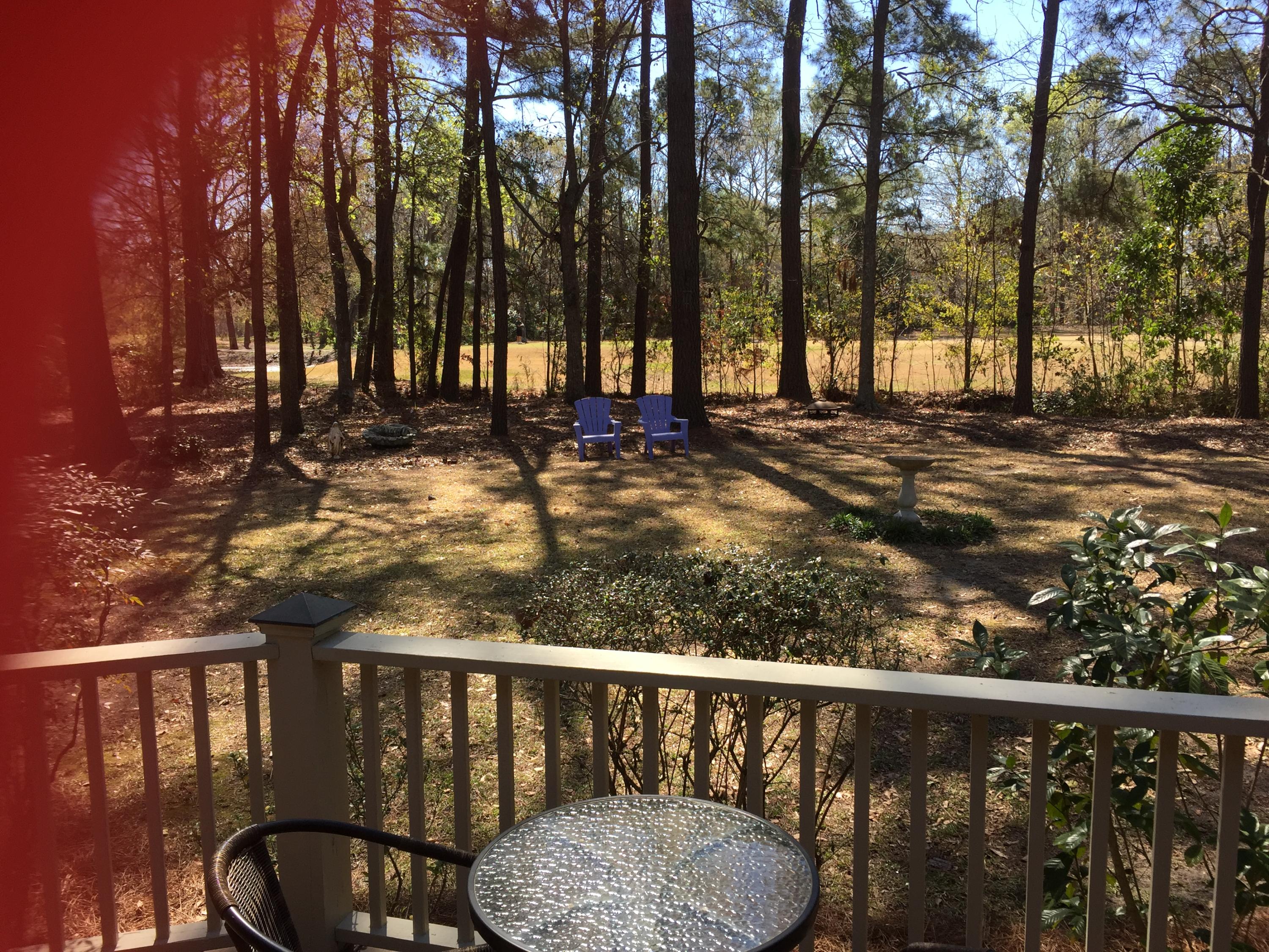874 Farm Quarter Road Mount Pleasant, SC 29464 - Photo 18 of 18 View from Master Bedroom