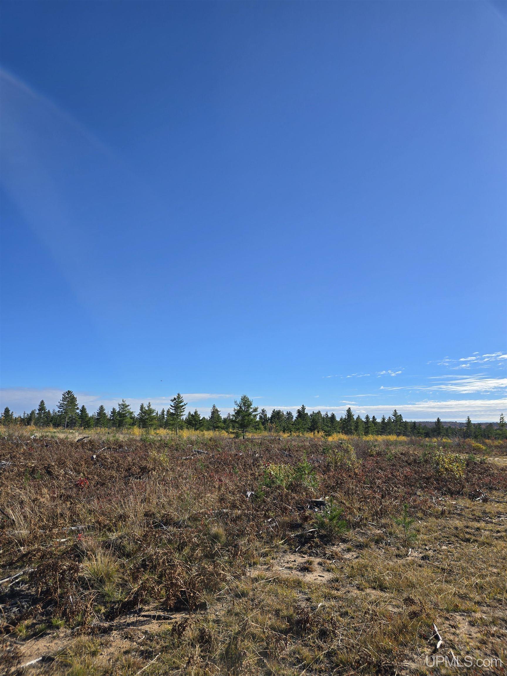 240-acres Co Rd Aaa Road Big Bay, MI 49808 - Photo 16 of 25