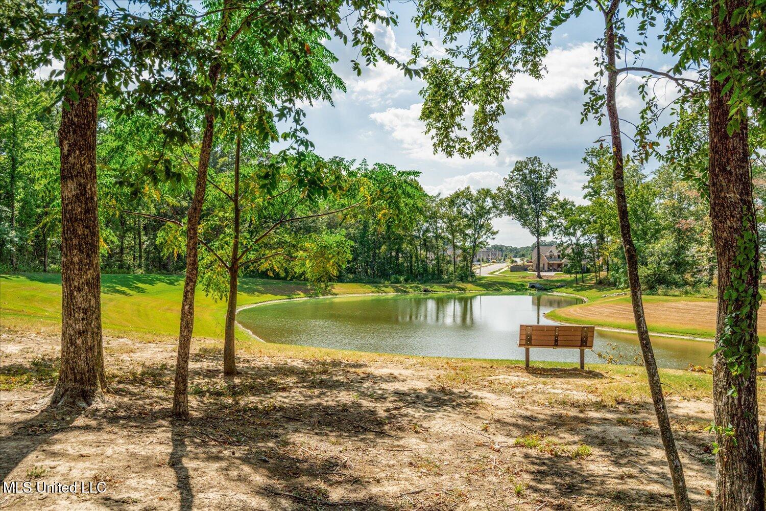 3390 Hatton Drive Nesbit, MS 38651 - Photo 32 of 32 32-32-2465812mi-3390 Hatton Dr