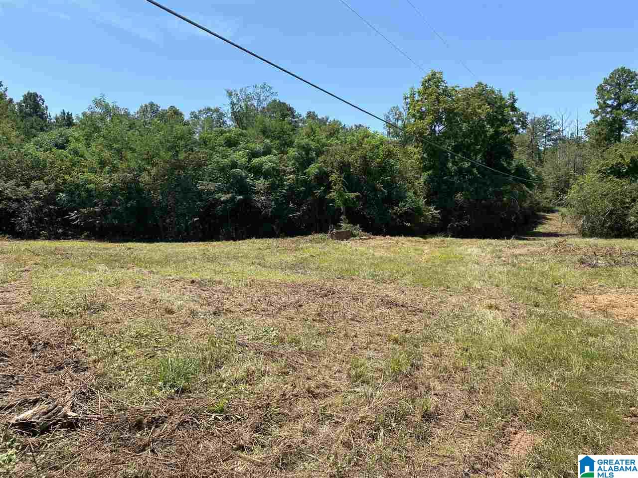 989 State Farm Road Alexandria, AL 36250 - Photo 3 of 7