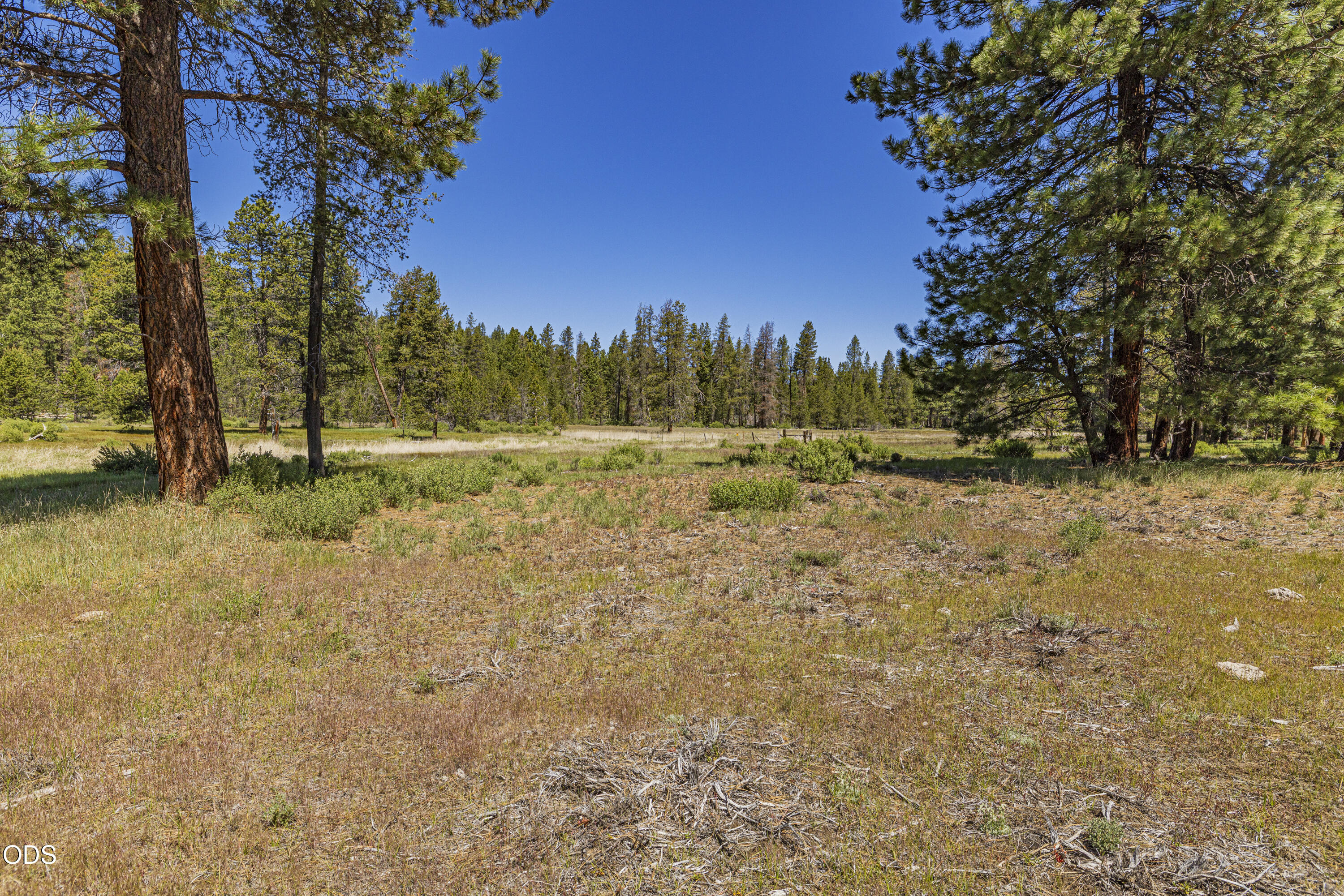 Williamson River Road, Unit 206226 Chiloquin, OR 97624 - Photo 37 of 50
