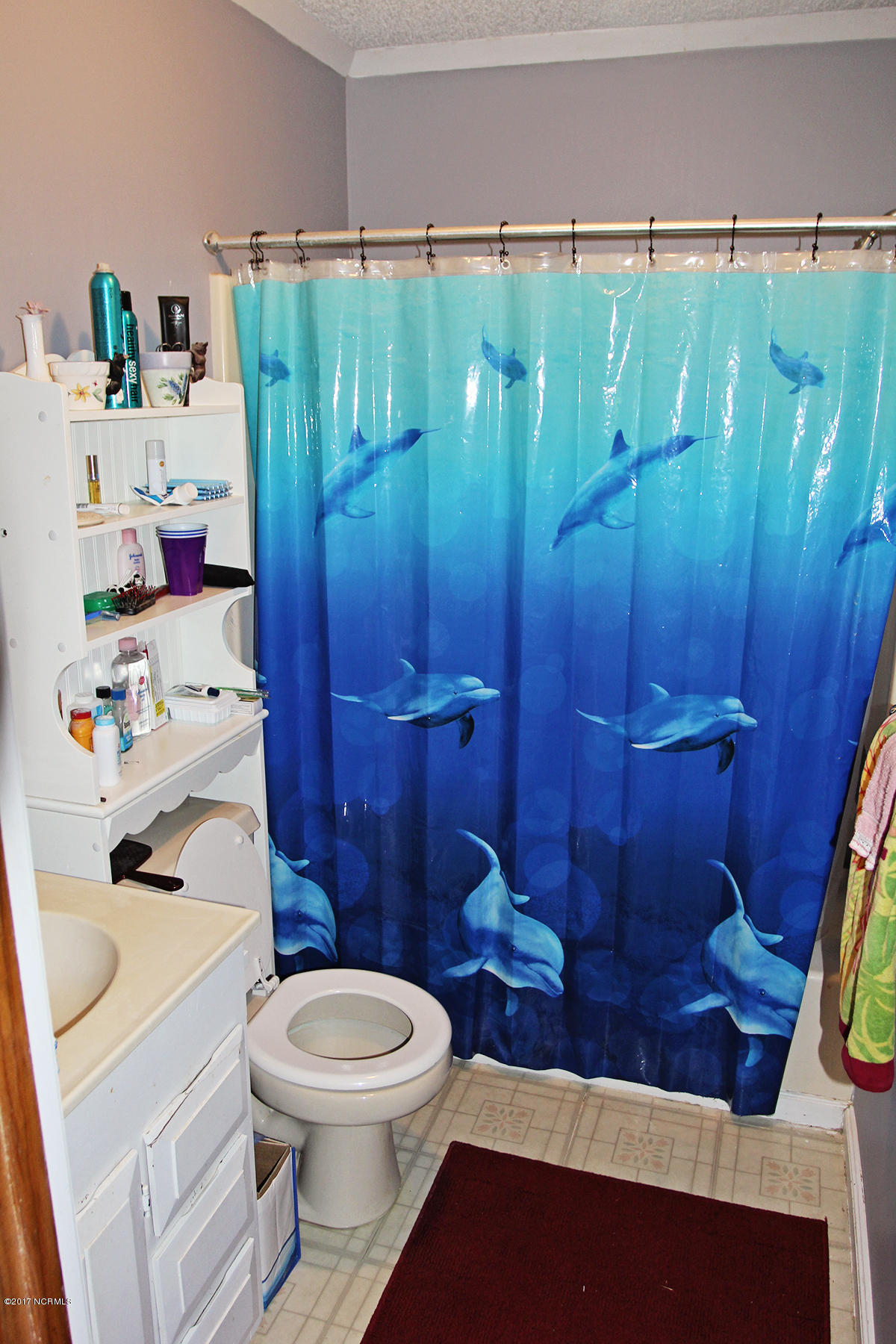 768 Straits Road Gloucester, NC 28528 - Photo 17 of 32 Master bathroom