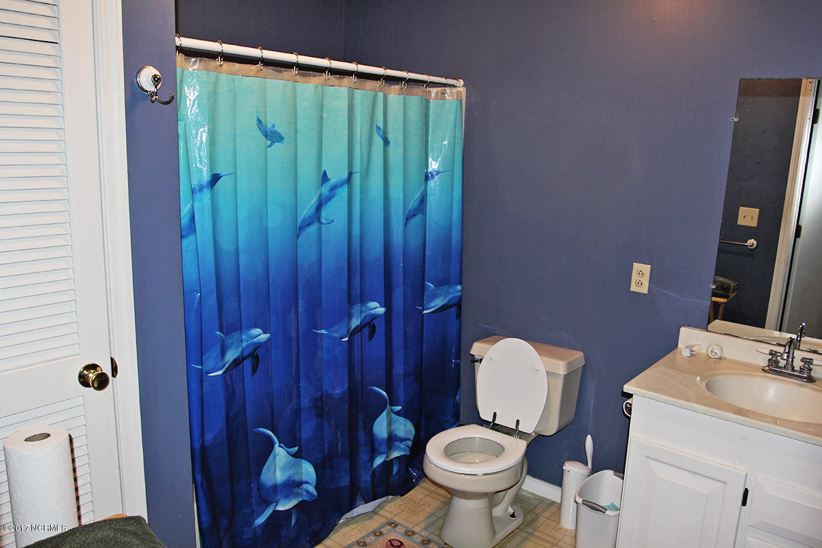 768 Straits Road Gloucester, NC 28528 - Photo 21 of 32 Hall bathroom
