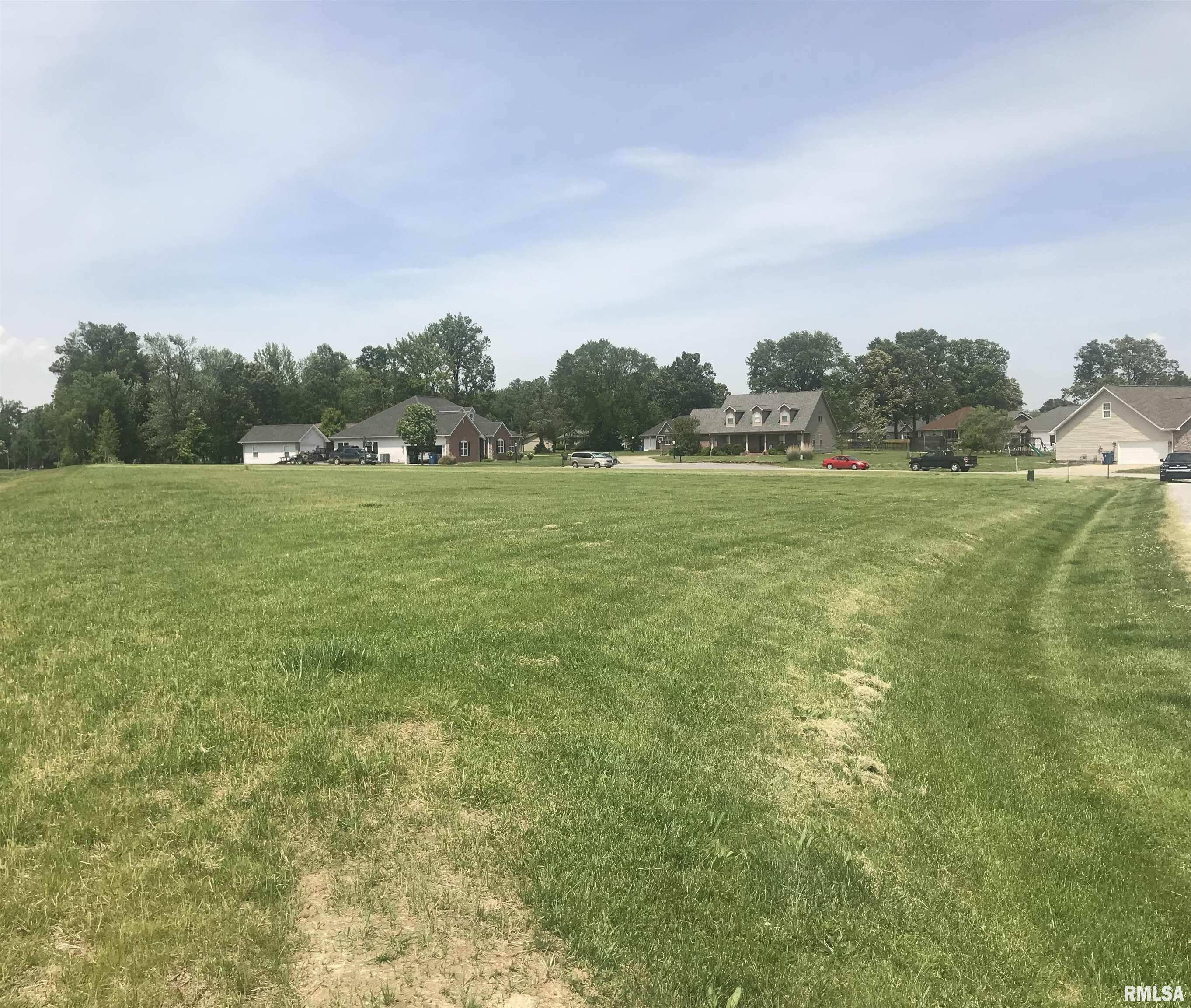 0 Paulie Road Carterville, IL 62918 - Photo 2 of 6 Gallery Image 2
