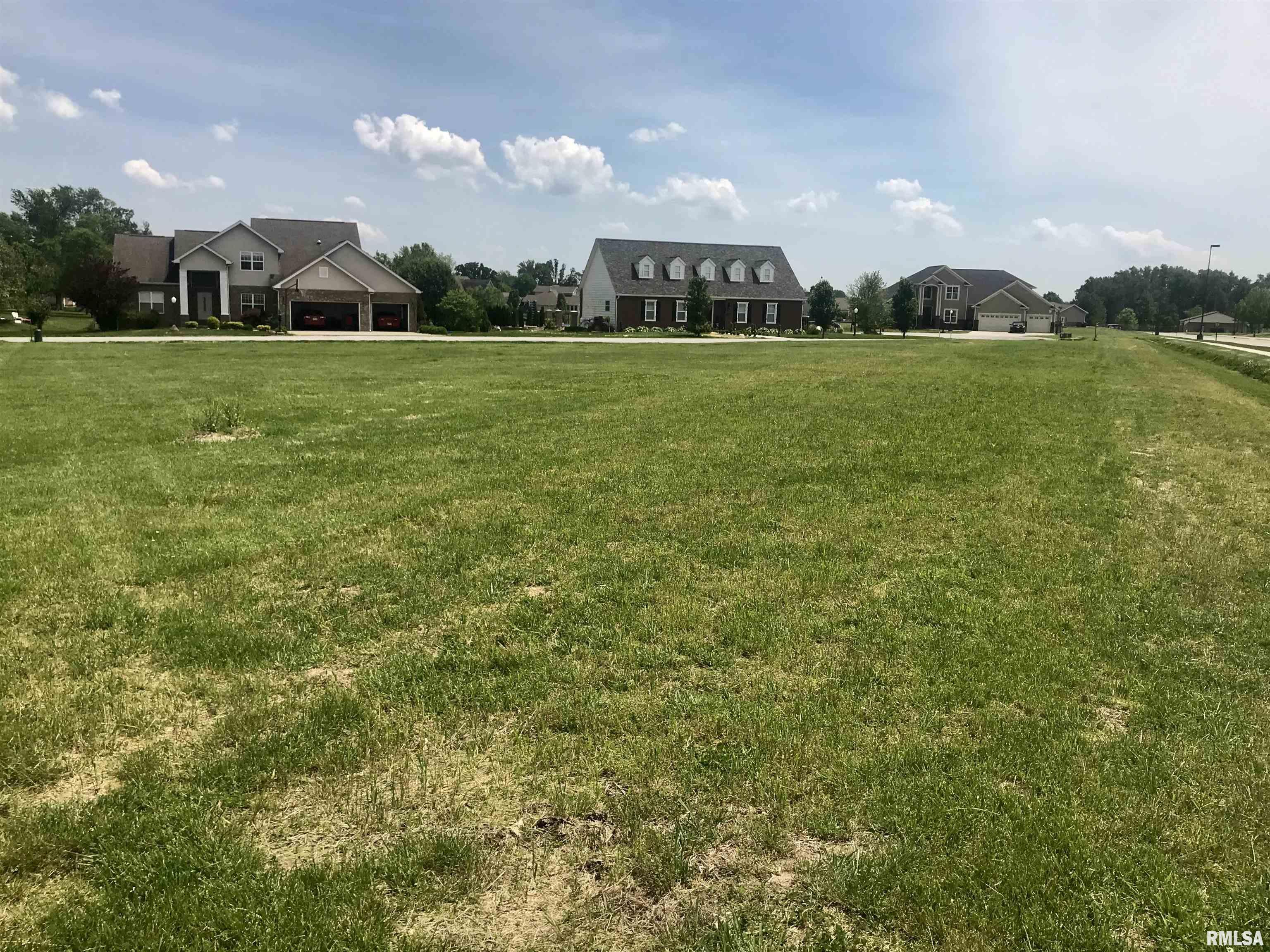0 Paulie Road Carterville, IL 62918 - Photo 5 of 6 Gallery Image 5