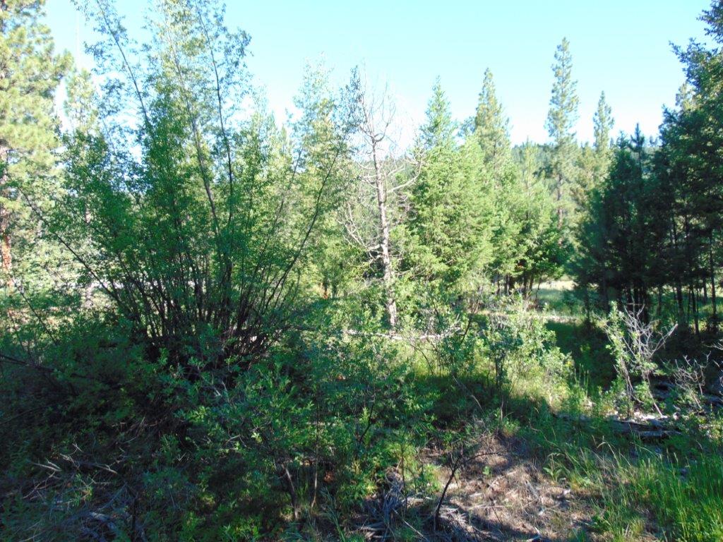 4615 Abe Lincoln Road Lincoln, MT 59639 - Photo 82 of 92 Gallery Image 82
