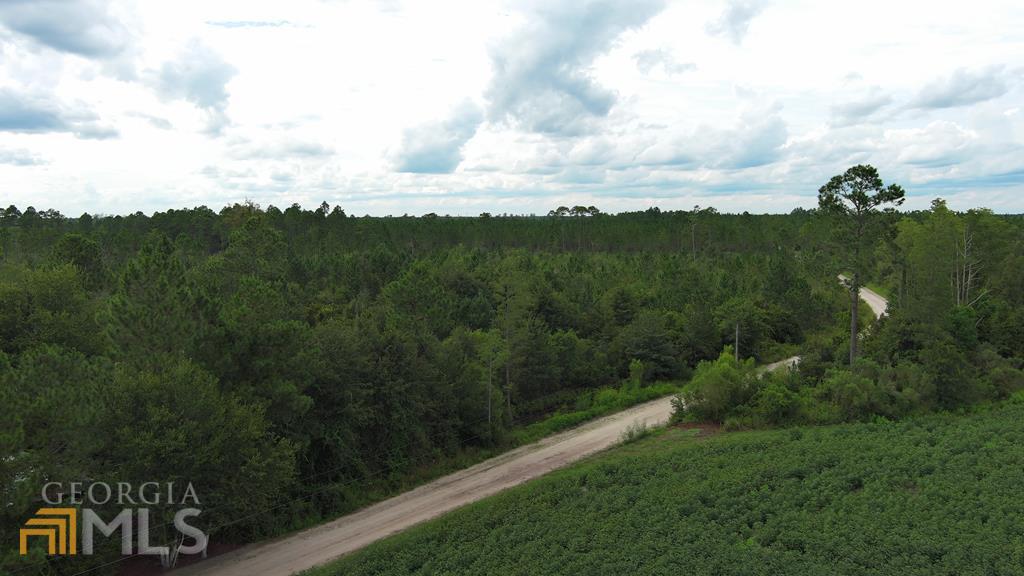 0 Lewis David Road Waycross, GA 31503 - Photo 1 of 1 Gallery Image 1