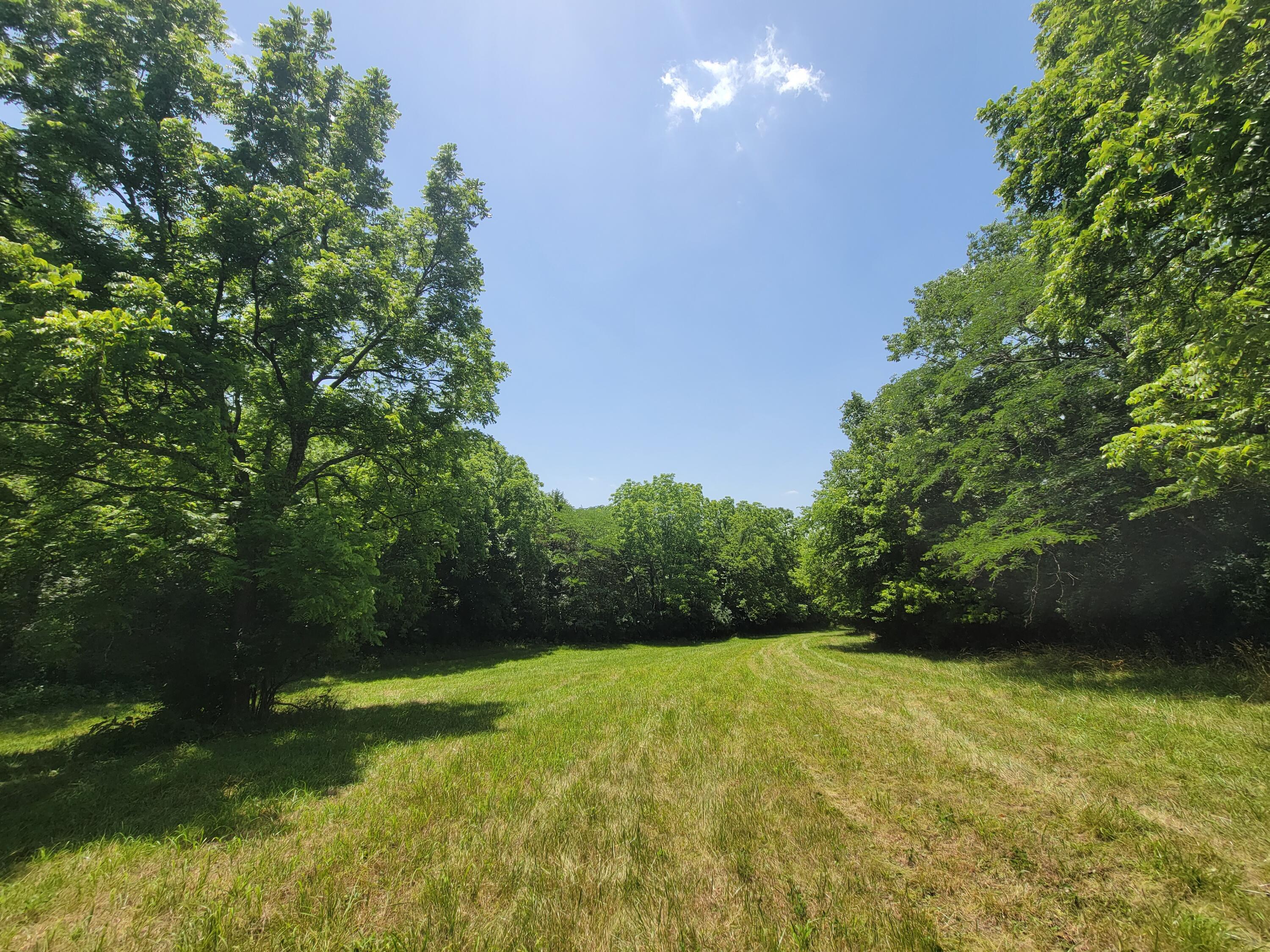 4897 Fords Mill Road Versailles, KY 40383 - Photo 41 of 52 20220615_133011