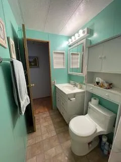a bathroom with a sink toilet and mirror