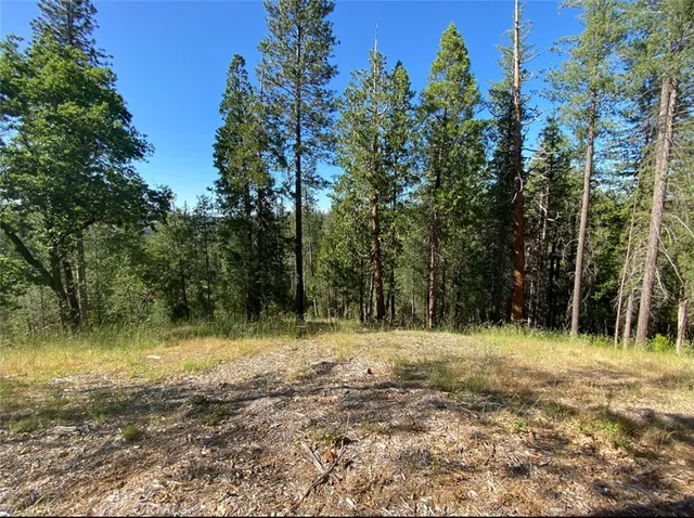 a view of a yard with trees