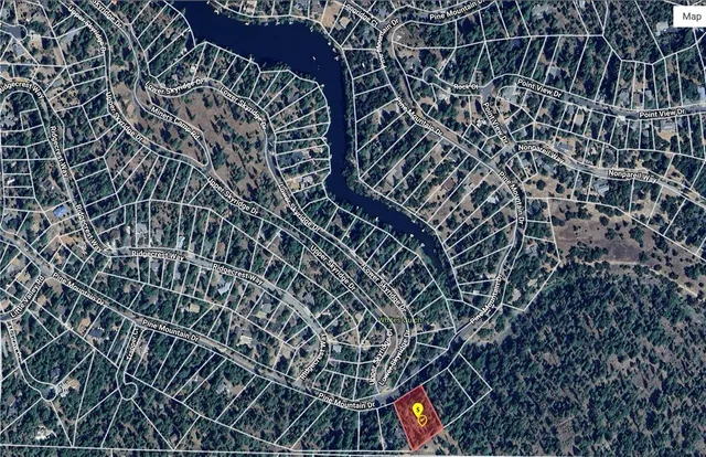 a view of a yard with trees in the background