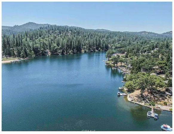 an aerial view of green landscape with trees houses and lake view