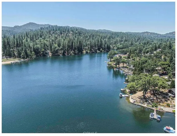 an aerial view of green landscape with trees houses and lake view