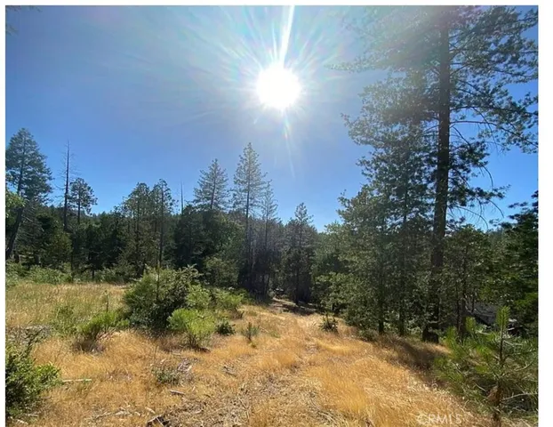 a view of outdoor space with trees