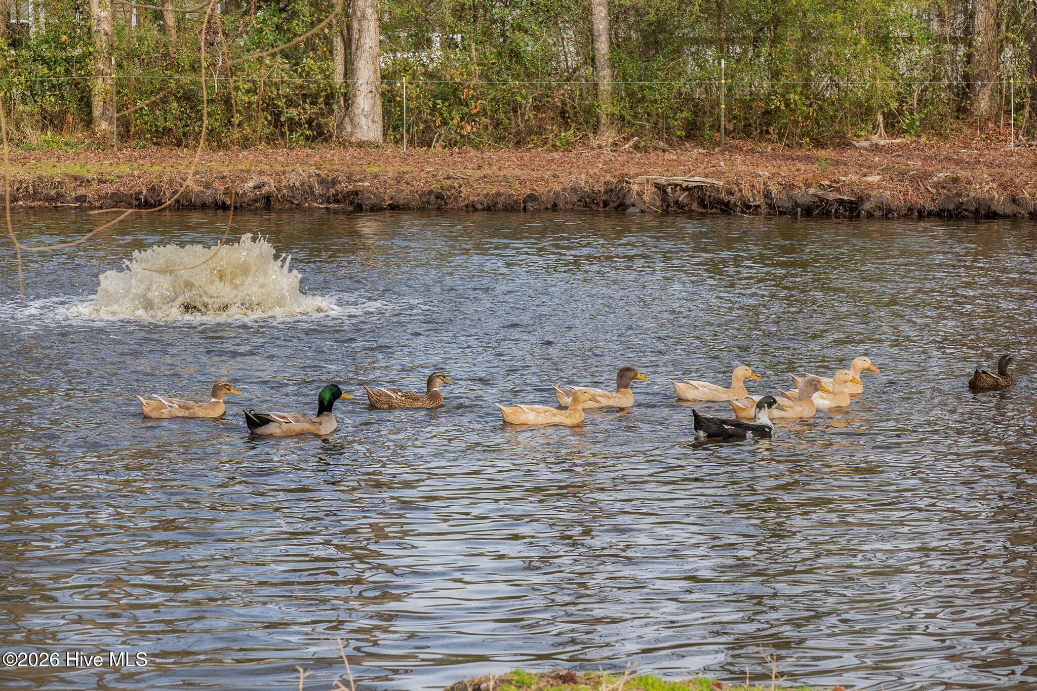 330 Lake Road Newport, NC 28570 - Photo 49 of 71 330 Lake Rd-63
