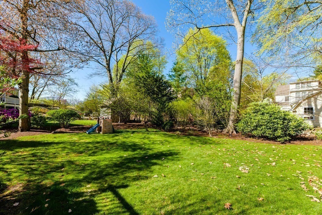 47 White Pine Road Newton, MA 02464 - Photo 21 of 24 a view of a yard with plants and trees