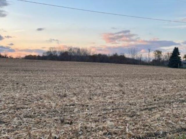 0 Willits Road Mayville, MI 48744 - Photo 1 of 3