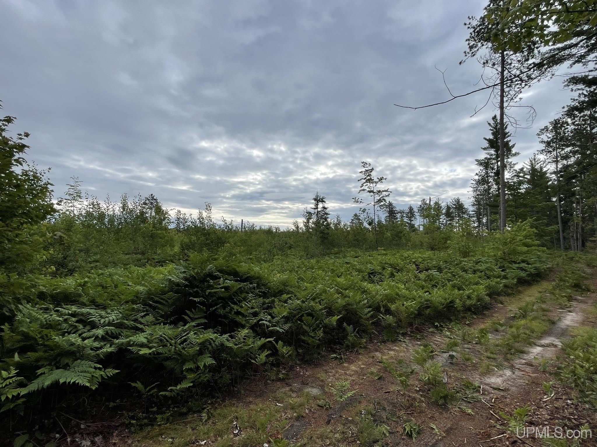 Tbd Tbd Hay Meadow Road Manistique, MI 49854 - Photo 10 of 51