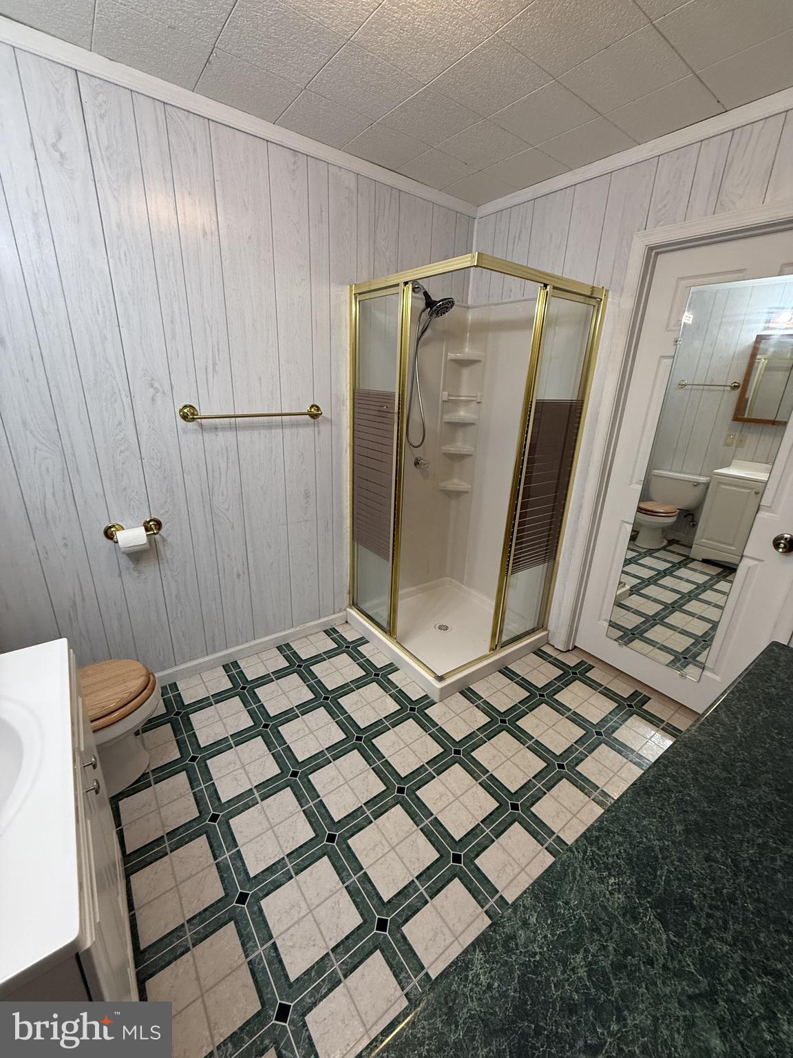 21 Coolidge Road Inwood, WV 25428 - Photo 80 of 80 Lower-Level 3/4 Bath