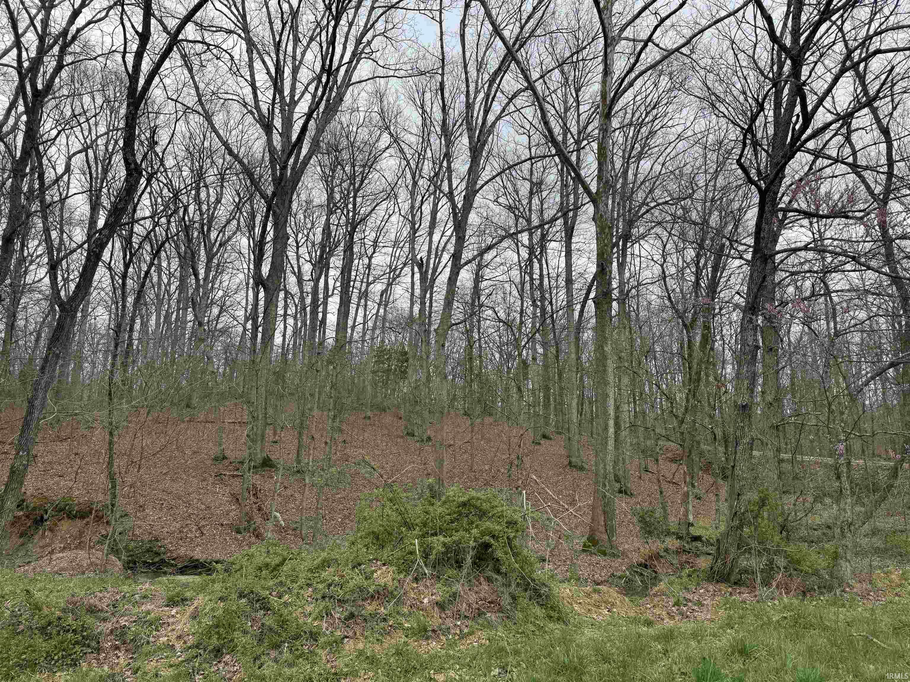 Oak Forrest Drive Huntingburg, IN 47542 - Photo 3 of 7