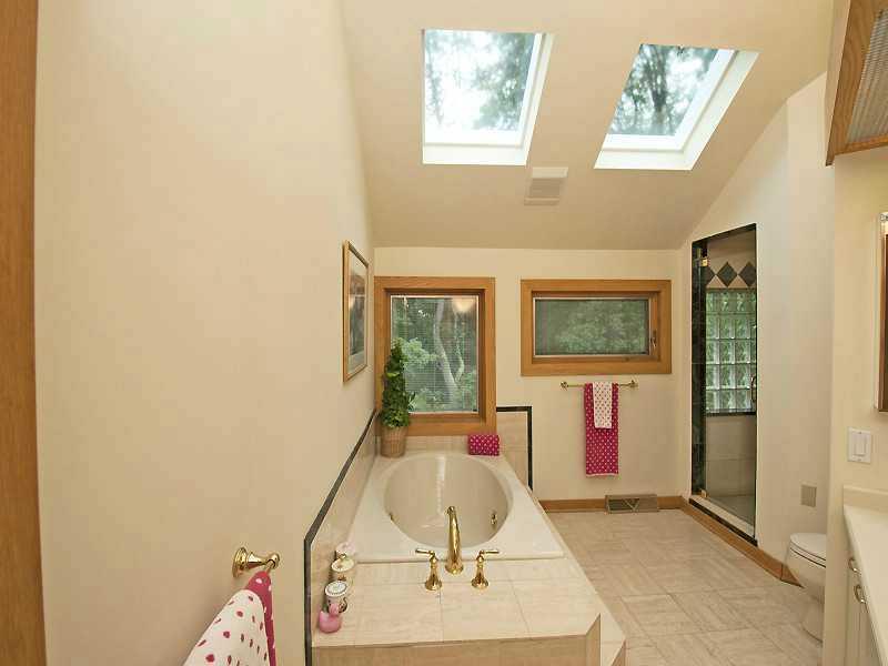 223 Timber Ridge Road Pittsburgh, PA 15238 - Photo 15 of 25 Master Bath/Spa.