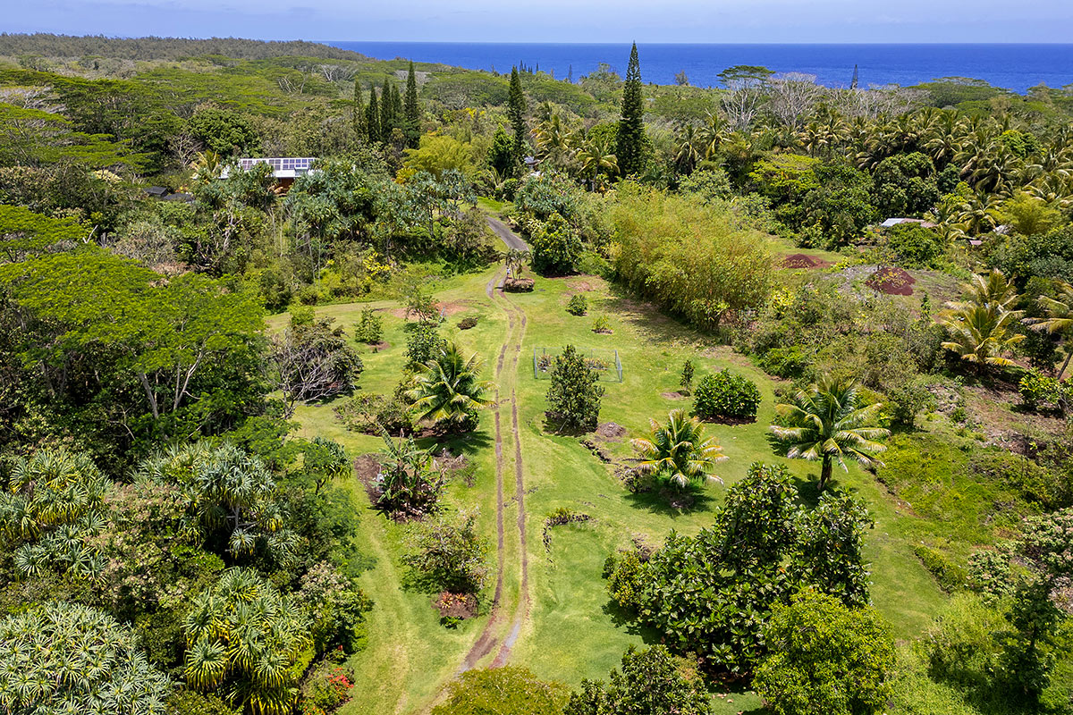 14-388 Pakaka Road Pahoa, HI 96778 - Photo 28 of 30 Gallery Image 28