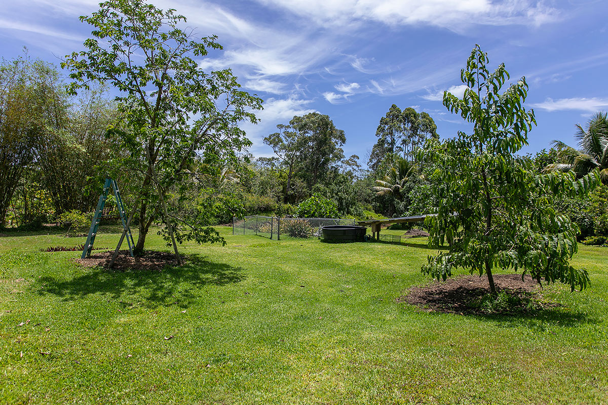 14-388 Pakaka Road Pahoa, HI 96778 - Photo 29 of 30 Gallery Image 29