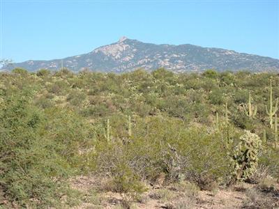 20 East Rincon Creek Ranch Road, Unit A Tucson, AZ 85747 - Photo 1 of 3