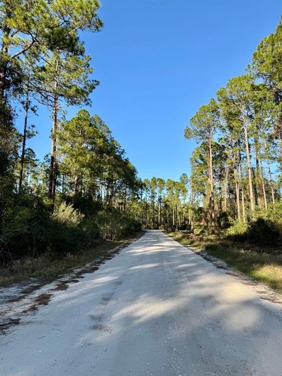 105 Longtree Street Georgetown, FL 32139 - Photo 11 of 11 a view of a road with a building in the background