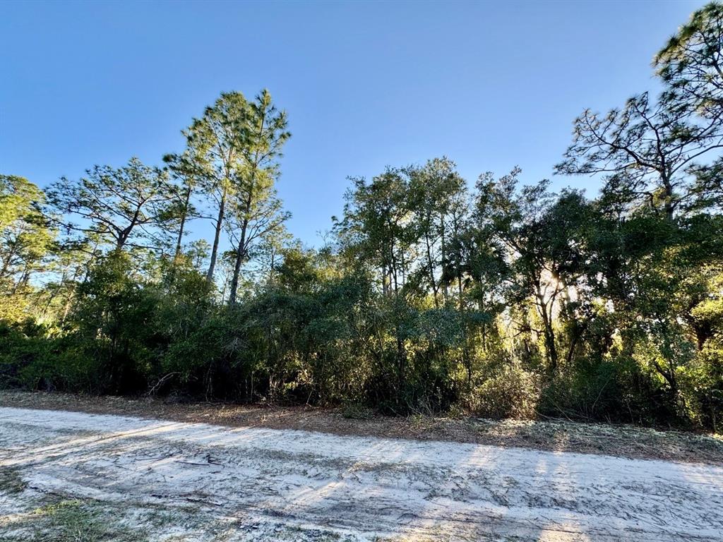 105 Longtree Street Georgetown, FL 32139 - Photo 3 of 11 a view of outdoor space and yard
