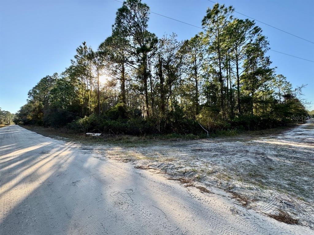 105 Longtree Street Georgetown, FL 32139 - Photo 9 of 11 a view of backyard with green space