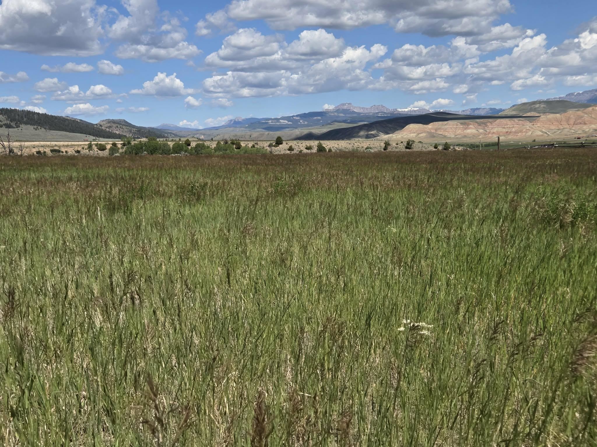 183 Bald Mountain Road Dubois, WY 82513 - Photo 3 of 48