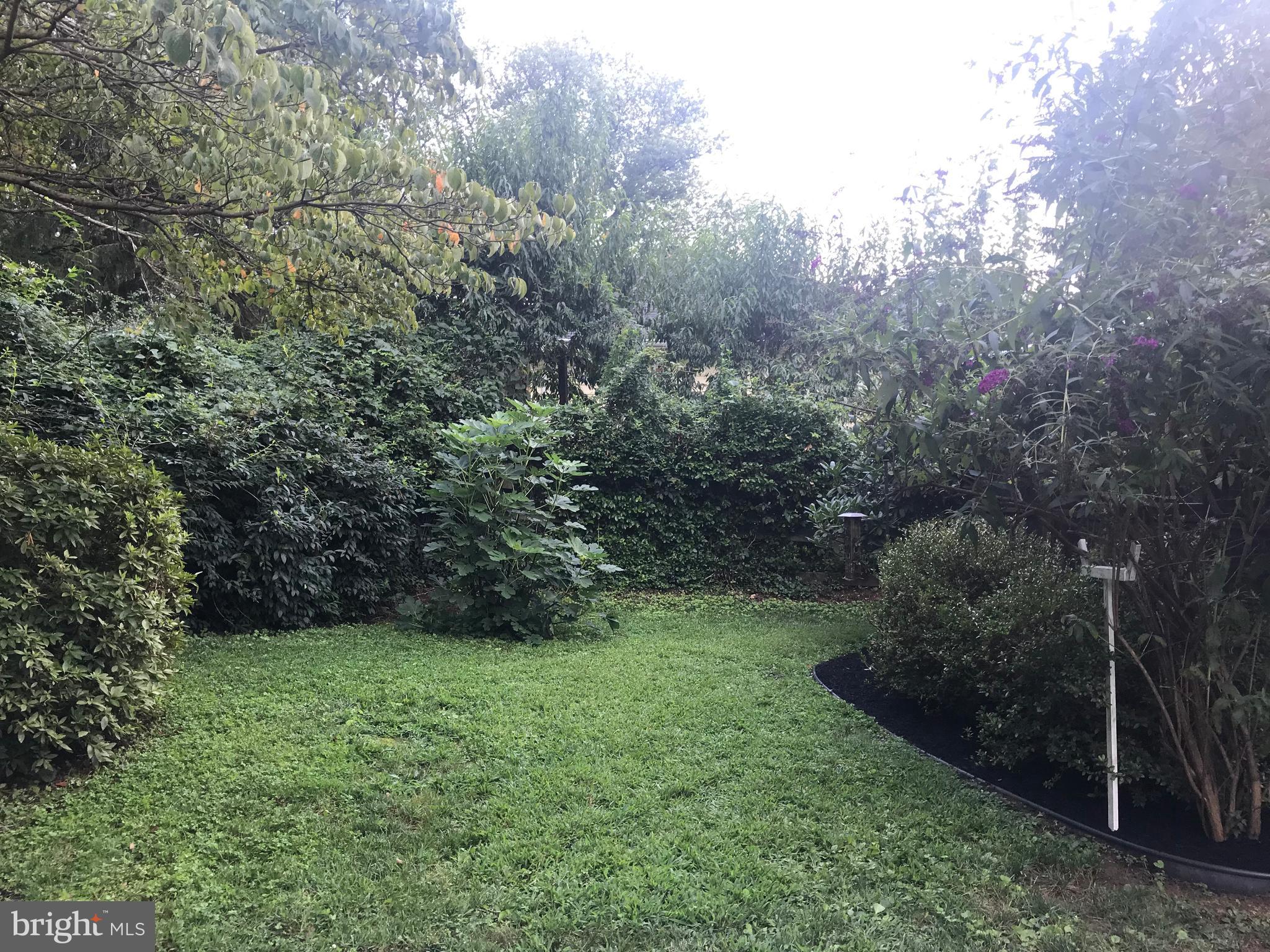 11715 Hillside Road Kingsville, MD 21087 - Photo 28 of 30 Backyard