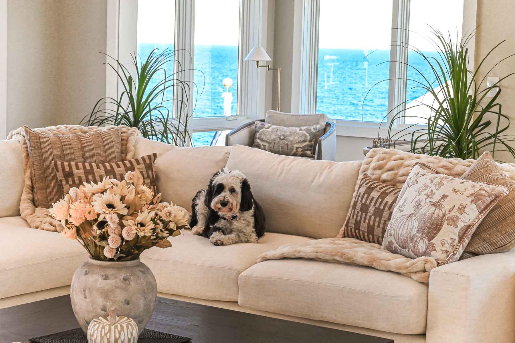 7 Nubble Point York, ME 03909 - Photo 22 of 77 22