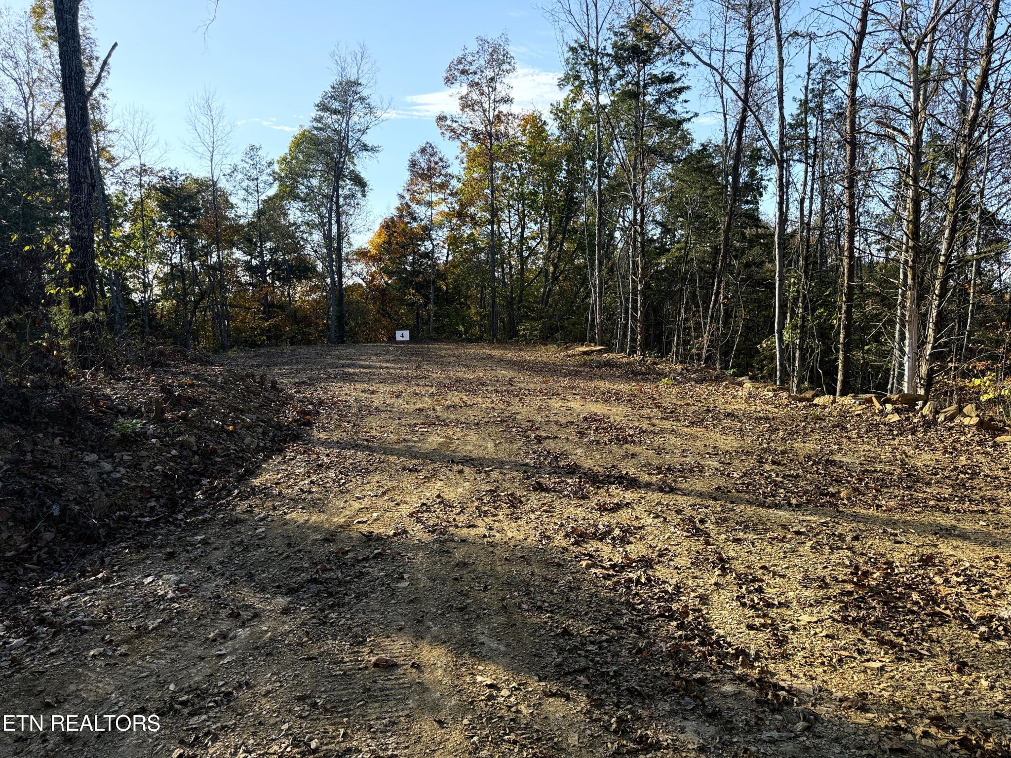 4 Topaz Way Parrottsville, TN 37843 - Photo 3 of 12 a view of dirt yard with trees