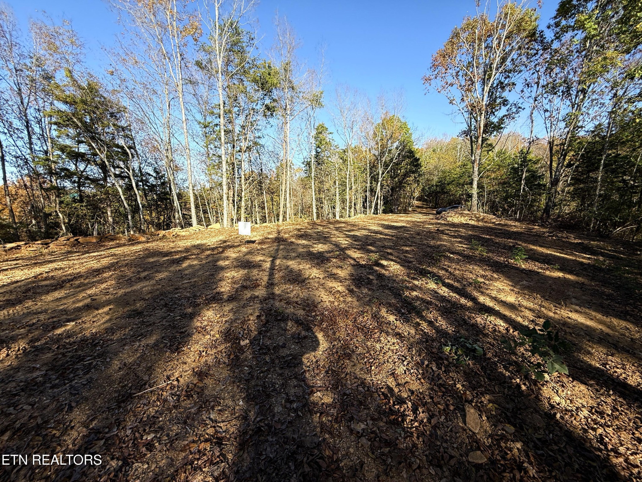 4 Topaz Way Parrottsville, TN 37843 - Photo 7 of 12 a view of road and trees
