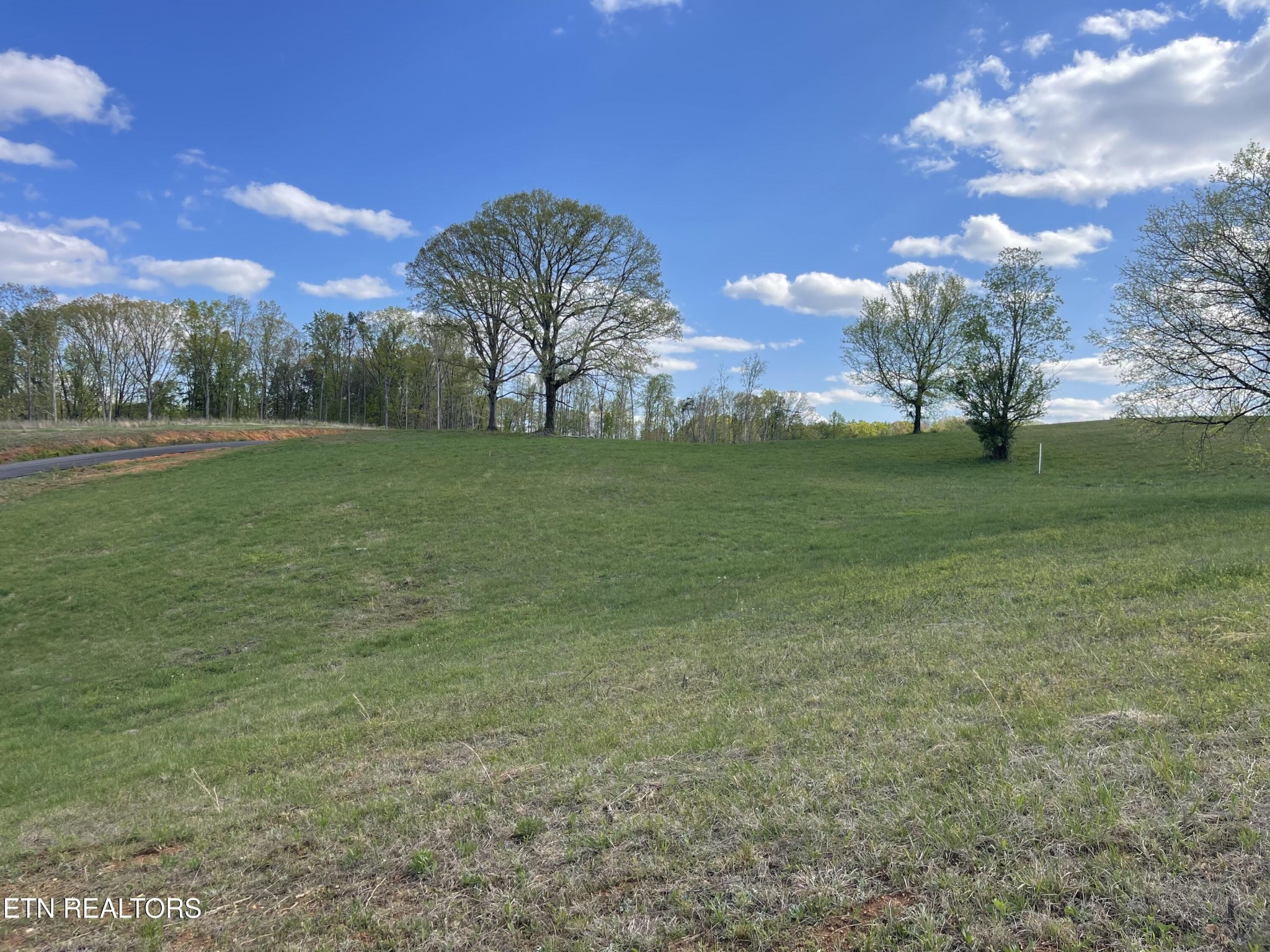 4 Laura Boling Loop Road Strawberry Plains, TN 37871 - Photo 1 of 1 Gallery Image 1