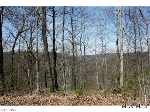 620 Shay Ridge Road Newport, OH 45768 - Photo 23 of 24 Mostly wooded acreage