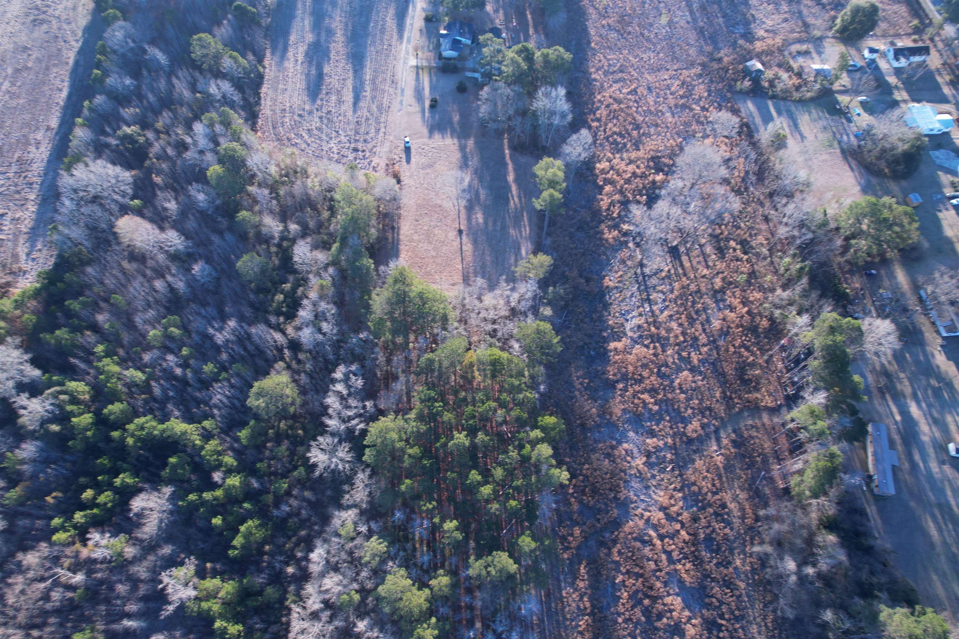 Tbd Samuels Avenue Salters, SC 29590 - Photo 5 of 8