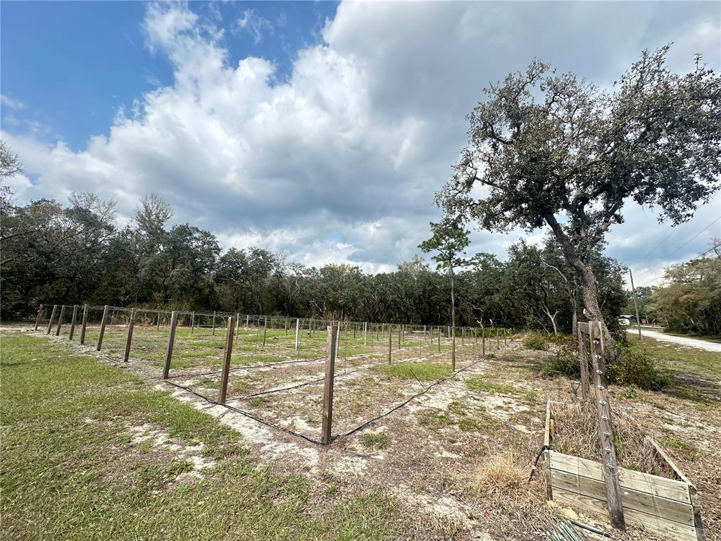 9095 Real Stone Webster, FL 33597 - Photo 2 of 5 Gallery Image 2
